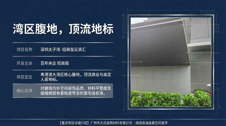 Shenzhen Landmark - Engineering Practice (1) - Image 2